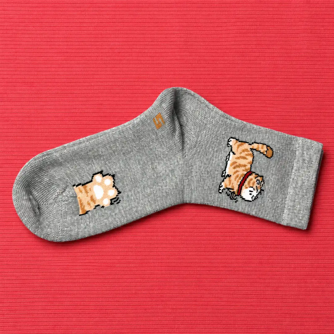 4'lü Set - Sevimli Kedi Desenli Dikişsiz Çocuk Çorabı | Soft Yıkama Yumuşak Dokulu Kız/Erkek Çorap 3